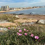 Mimosa Molino Blanco La Mata