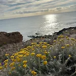 Mimosa Molino Blanco La Mata Lägenhet *