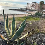 Mimosa Molino Blanco La Mata Torrevieja