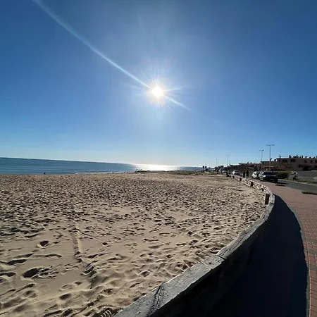 Mimosa Molino Blanco La Mata *