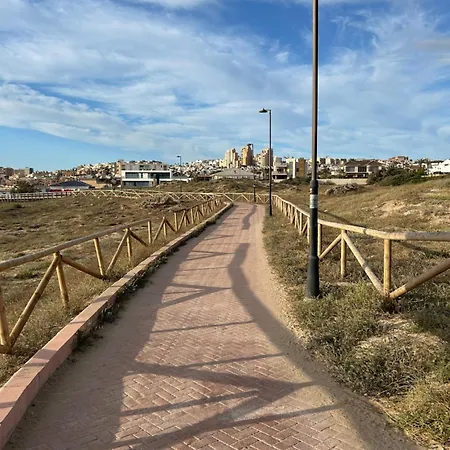 Mimosa Molino Blanco La Mata