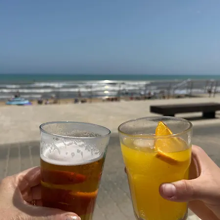 Mimosa Molino Blanco La Mata *