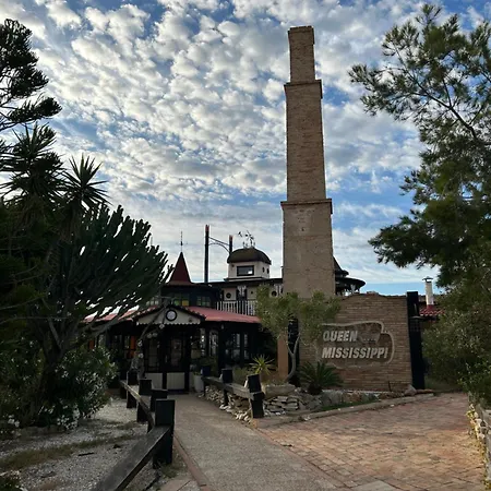 Mimosa Molino Blanco La Mata