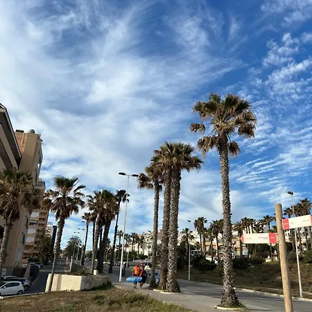 Mimosa Molino Blanco La Mata * טורבייחה