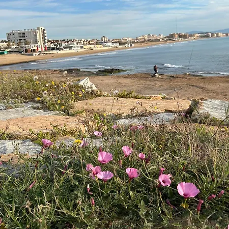 Mimosa Molino Blanco La Mata