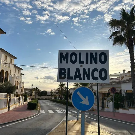 Mimosa Molino Blanco La Mata