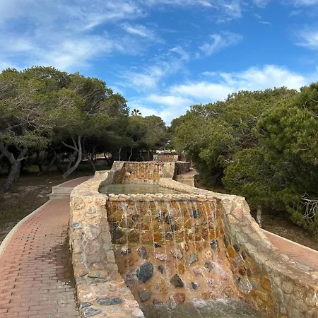 Mimosa Molino Blanco La Mata *