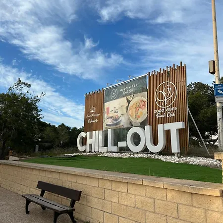 Mimosa Molino Blanco La Mata