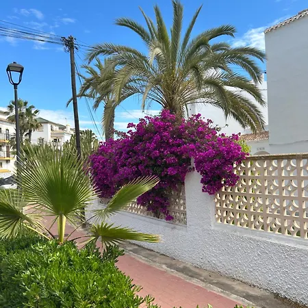 Mimosa * Torrevieja