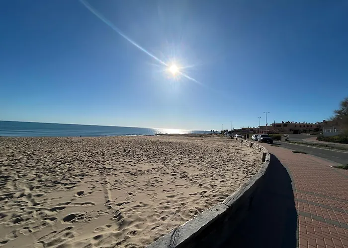 Mimosa Molino Blanco La Mata *