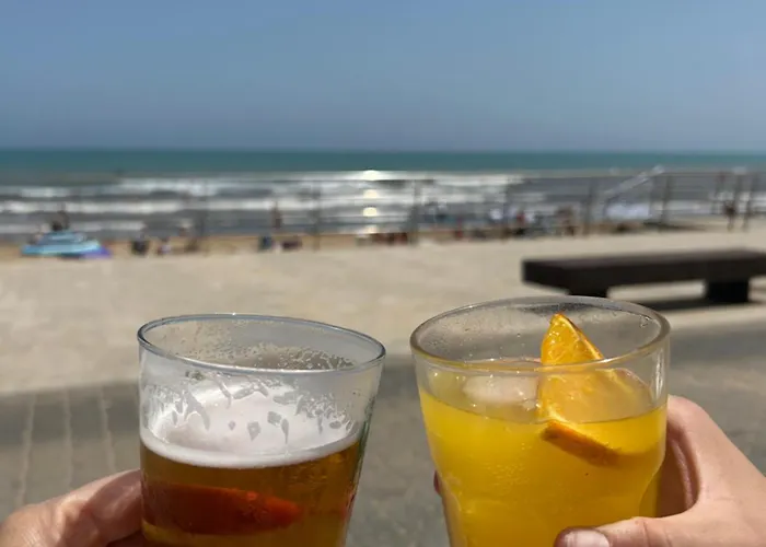 Mimosa Molino Blanco La Mata *