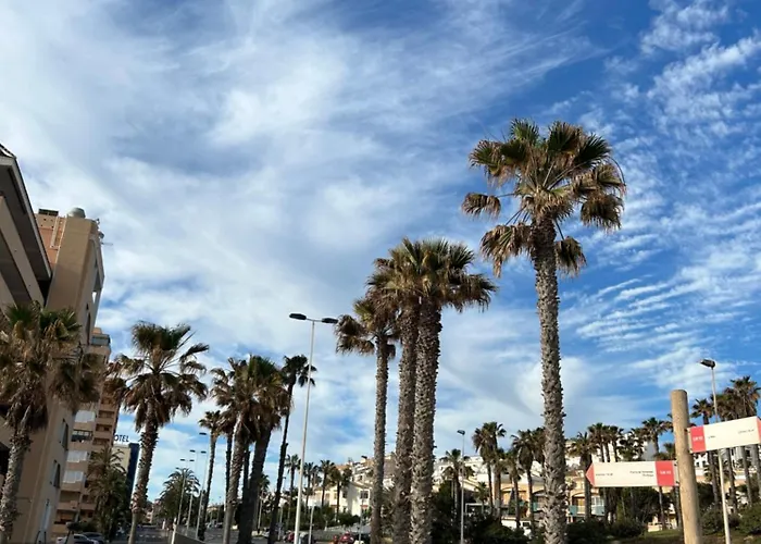 Mimosa Molino Blanco La Mata * تورّيفيِخا