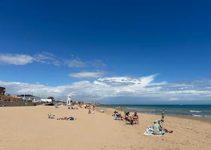 Mimosa Molino Blanco La Mata Torrevieja