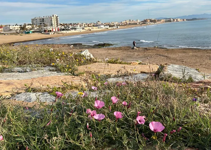 Mimosa Molino Blanco La Mata