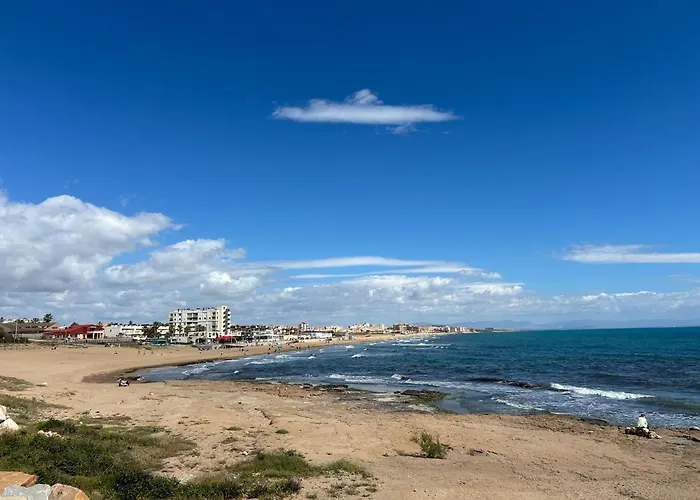 Mimosa Molino Blanco La Mata Torrevieja