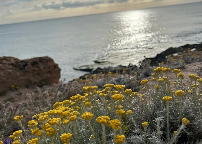 Mimosa Molino Blanco La Mata Apartamento *