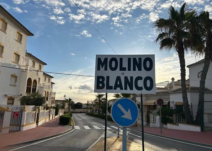 Mimosa Molino Blanco La Mata