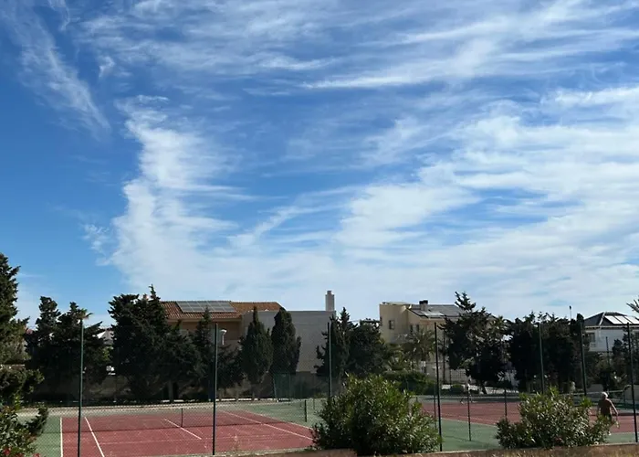 Mimosa Molino Blanco La Mata Torrevieja