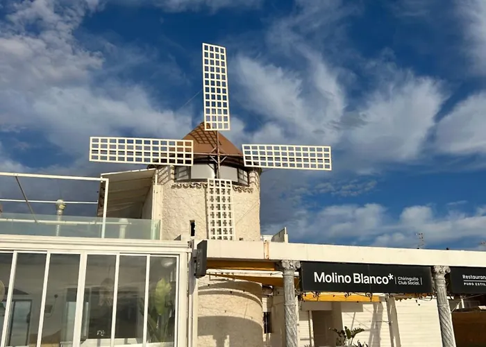 Mimosa Molino Blanco La Mata *