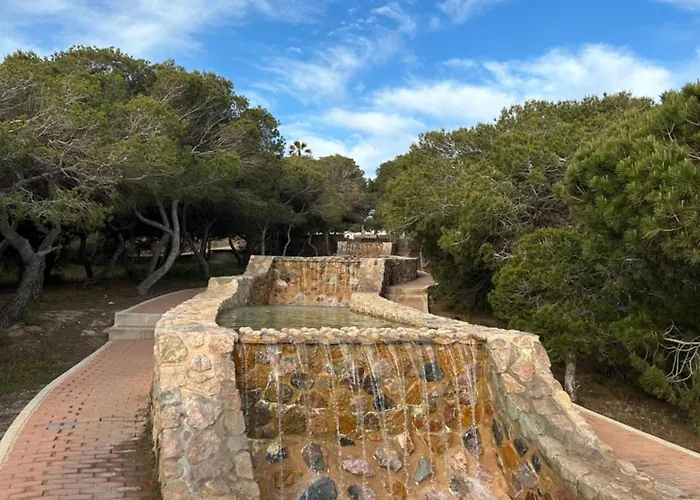 Mimosa Molino Blanco La Mata *