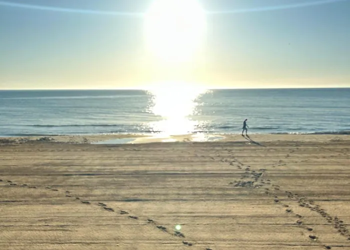 Mimosa Molino Blanco La Mata * Torrevieja