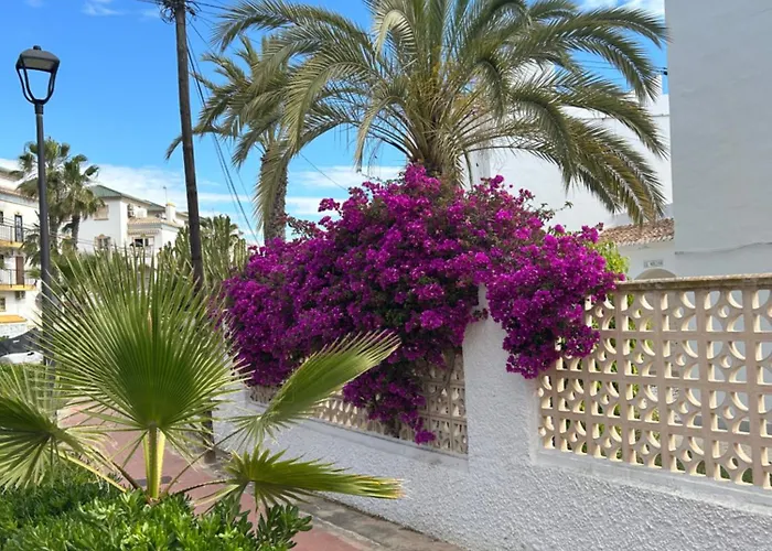 Mimosa Molino Blanco La Mata * تورّيفيِخا